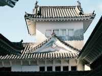 日本｜兵庫｜姬路城