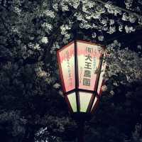 弘前城夜櫻-難以形容的美麗