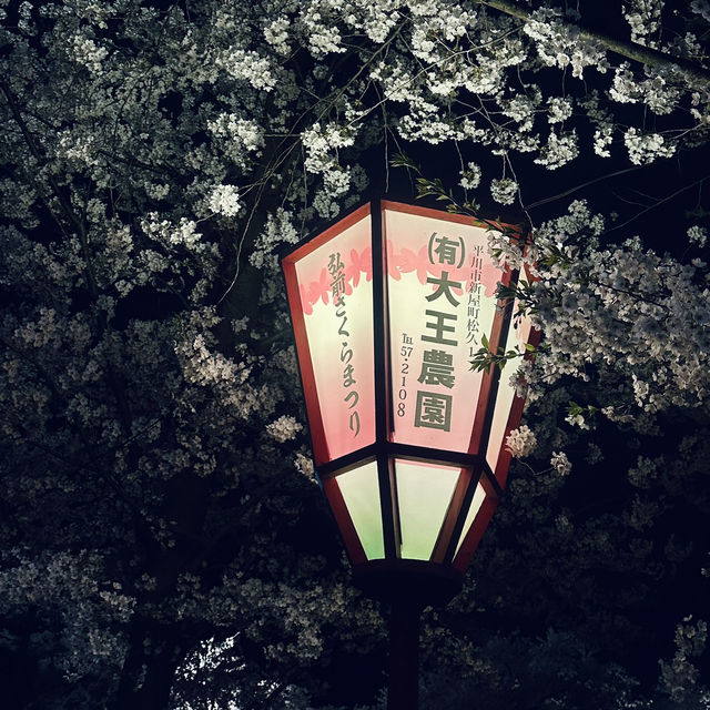 弘前城夜櫻-難以形容的美麗