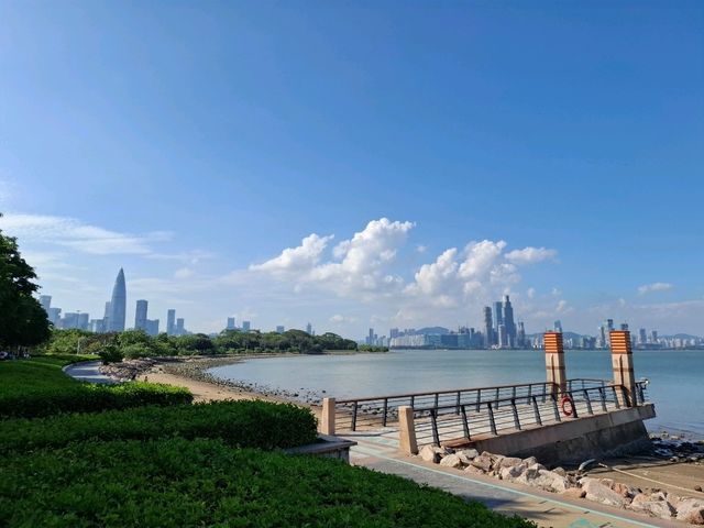 深圳最悠閒的海濱單車徑🚲海上世界至深圳灣公園