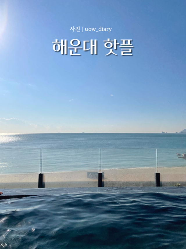 해운대 핫플 여행지 추천! (1편) 🌊🐳🦀