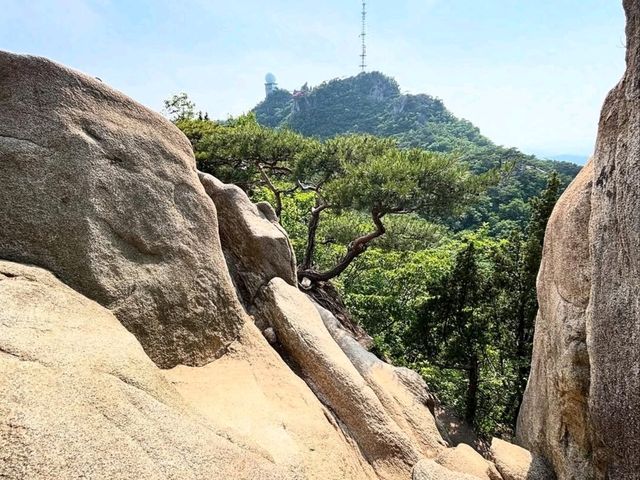 City Escape with a Side of Rock Climbing