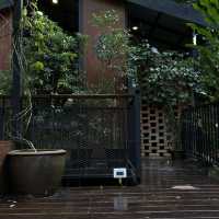  Into The Forest Café กระบี่ 
