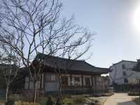 The beauty of Suwon 
