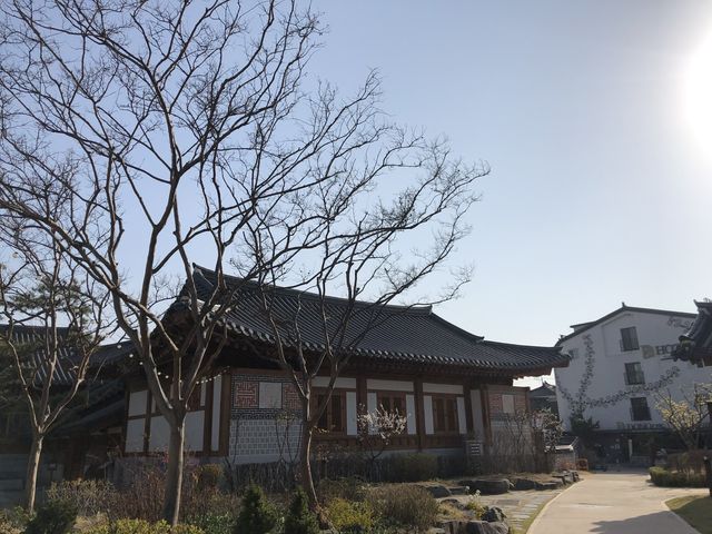 The beauty of Suwon 