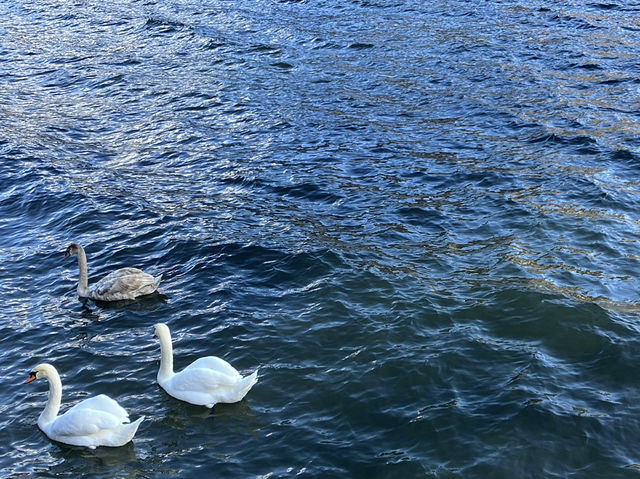 🏞️ “거울처럼 맑은 호수, 동화 속 마을 할슈타트의 첫인상”