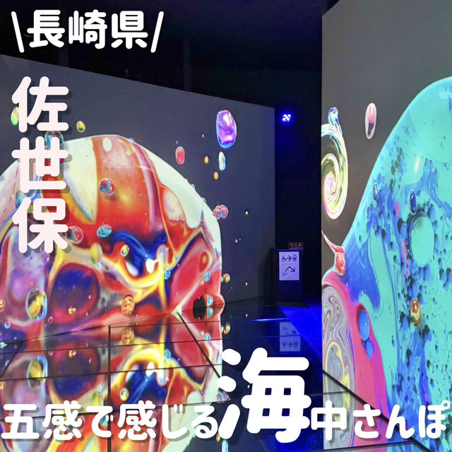 五感で感じる体験‼️デジタル海さんぽ