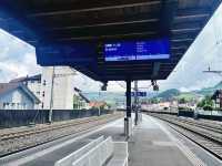 Rigi by Rail – A Peaceful Ascent with Epic Views