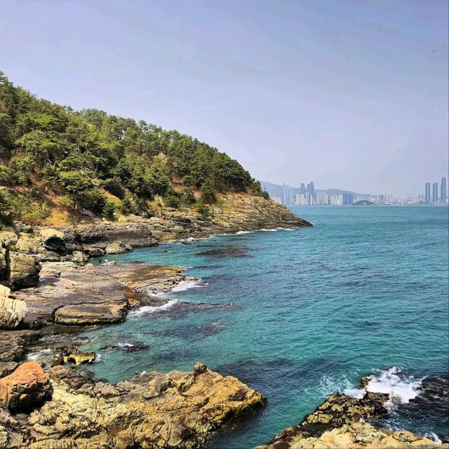 Cliff Walks, Ocean Breeze, and Zero Regrets