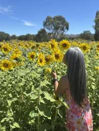 Canberra Australia 
