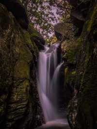 Shivapuri best hike near Kathmandu 