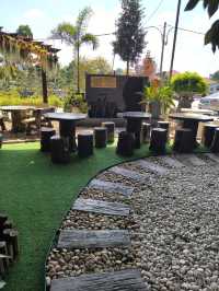 A Touch of Nature in the City – Budget Garden Spot in Hong Kong