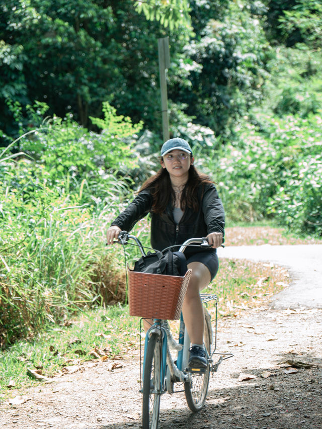 Nature Therapy 🇸🇬✨ Summer getaway to Pulau Ubin