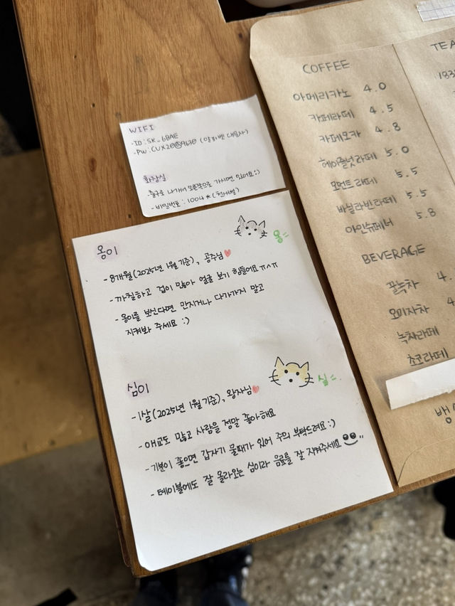 【ソウル・漢城大入口】 韓国で流行中のキティちゃんクッキー🍪🎀