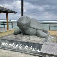 立ち寄りたい可愛い🐢スポット