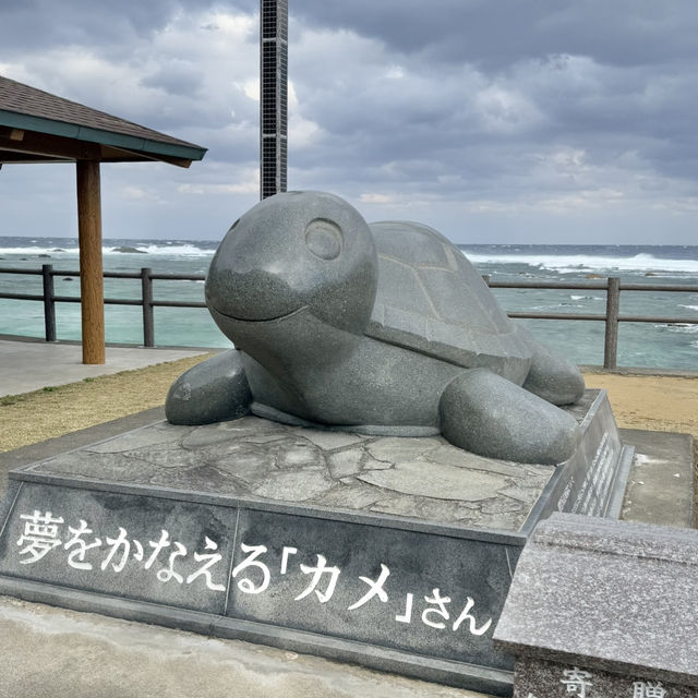 立ち寄りたい可愛い🐢スポット