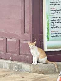 พาเที่ยววัดอินทาราม (วัดหนองขาว) จ.กาญจนบุรี