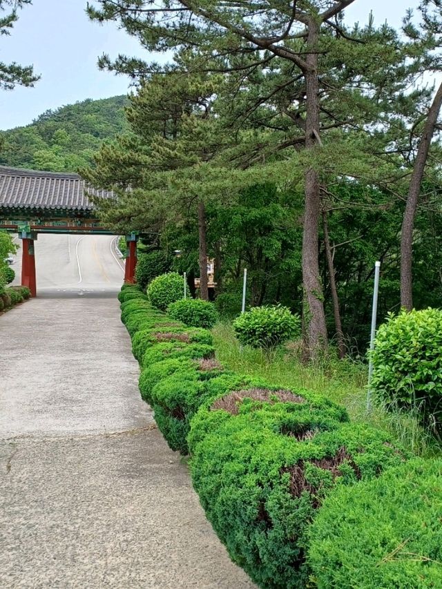 바다와 숲이 반겨주는 고성의 숨은 보석, 보현암