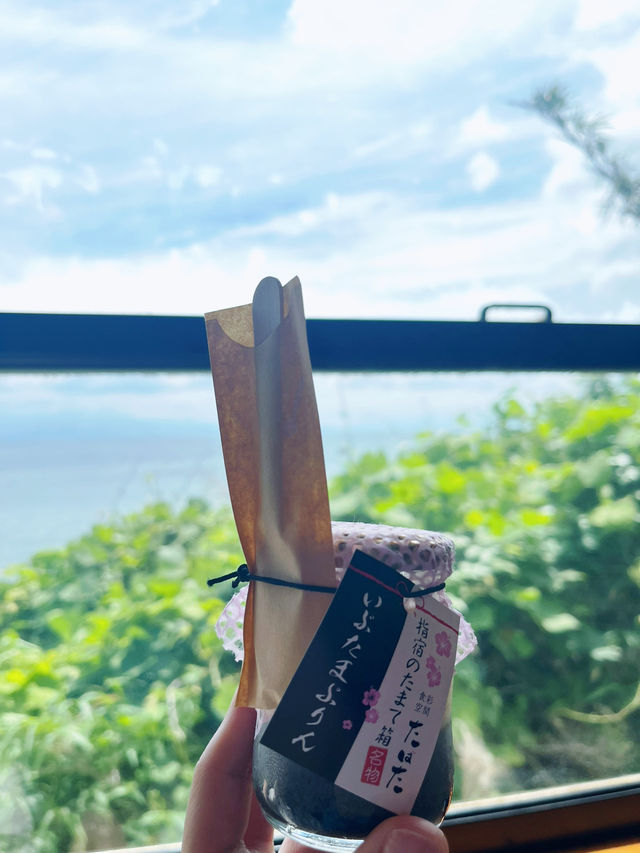 いぶたまで指宿へ(鹿児島旅④)
