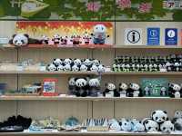 【🇯🇵上野】パンダグッズ約200種類以上のお店🐼&上野に行くならここ寄って！ 🩷