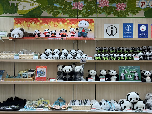 【🇯🇵上野】パンダグッズ約200種類以上のお店🐼&上野に行くならここ寄って！ 🩷
