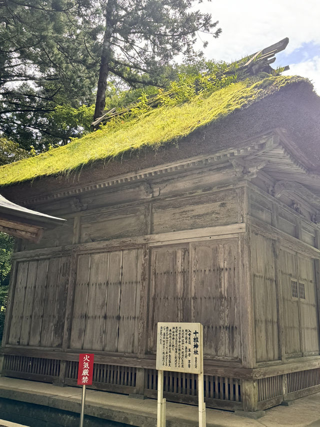 新潟-彌彥神社