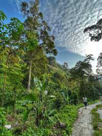 Morning Hike to a Hidden Gem: Emperor Villa Penang