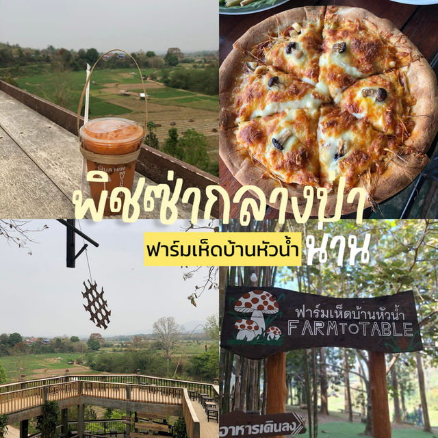 🍄 ฟาร์มเห็ดบ้านหัวน้ำ จ.น่าน |