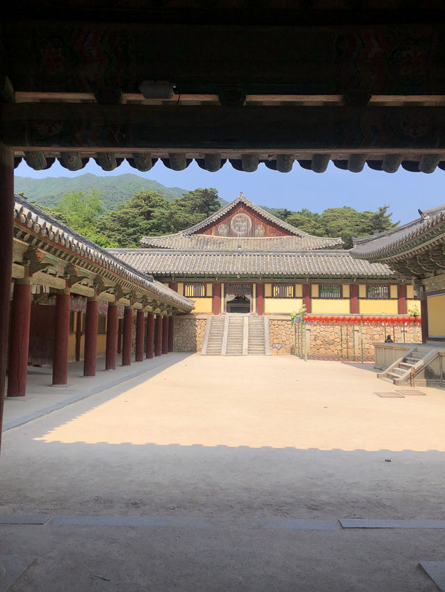🌟✨ ‘경주 불국사’ 여행✨🌟 