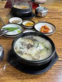 제주도 비오면 어떻게 놀지?🏝️