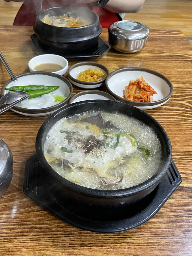 제주도 비오면 어떻게 놀지?🏝️