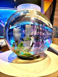 A quirky restaurant called The Cowfish