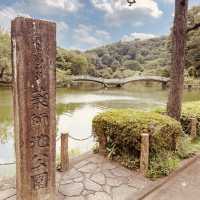 🌿🌸 Yakushi-Ike Park (薬師池公園), Machida: A Hidden Summer Oasis Near Tokyo