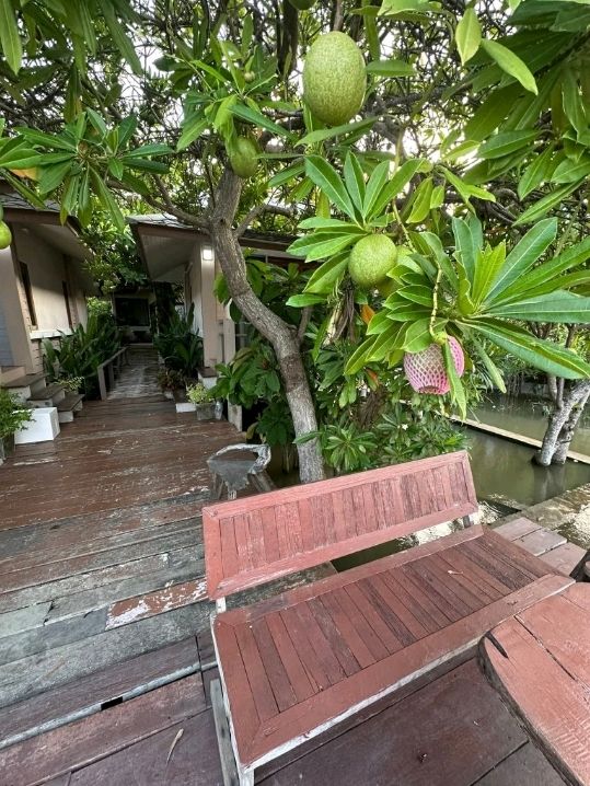บ้านตุ่มรีสอร์ท/อัมพวา