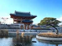 Green Escape at Sejong National Arboretum
