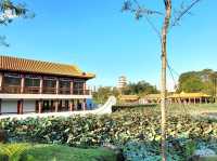 Sublime Stoneboat sailing through the lotus pond
