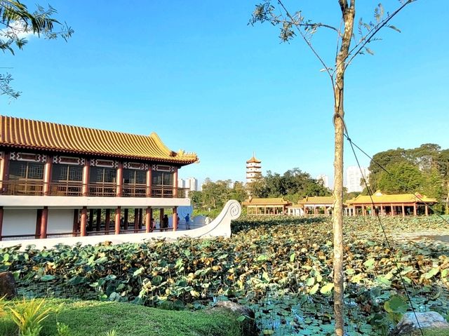 Sublime Stoneboat sailing through the lotus pond