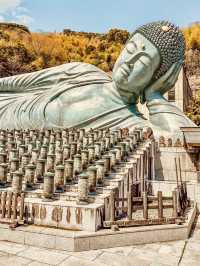 🌞🏯 Summer Weekend in Fukuoka: Food, Festivals & Island Escapes 