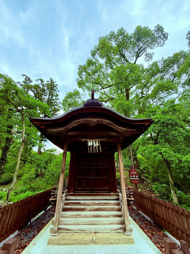 太宰府天滿宮& 九州國立博物館