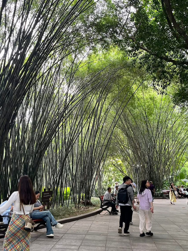 ✨4D3N Chongqing Itinerary: Pandas, Spicy Eats & Karst Adventures