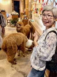 來去有風的地方｜雲南～中國最浪漫的城市「大理古城」