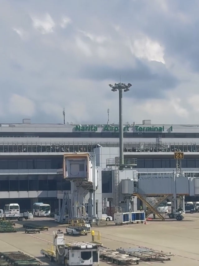 旅の出発は成田空港から✈️ 💡発見！アート作品巡りをしてみよう✨