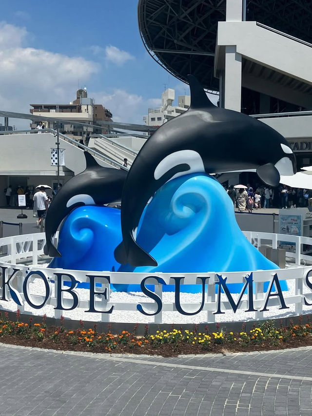 【神戸須磨シーワールド】海の仲間たちと感動体験！新しく生まれ変わった水族館旅🐟✨