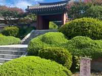 Gangneung: Ojukheon, Coffee Street & Wolhwaga Street Strolls! 🌳☕🚶‍♀️