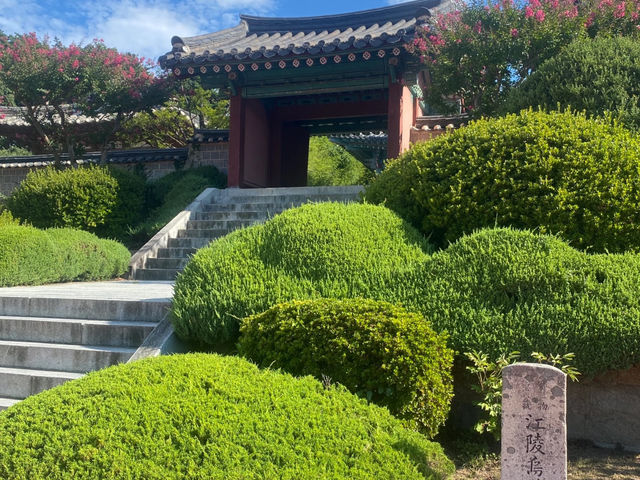 Gangneung: Ojukheon, Coffee Street & Wolhwaga Street Strolls! 🌳☕🚶‍♀️