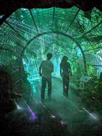 京都 | 京都府立植物園 - Light Cycles