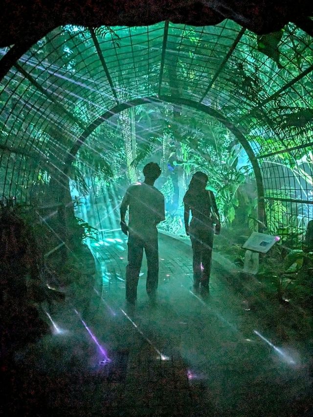 京都 | 京都府立植物園 - Light Cycles