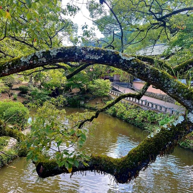 🙏ขอพรการศึกษาที่ Dazaizu Tenmangu⛩️