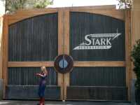 Pixar, Parades & Pure Joy: Adventure Park with My Mini Sidekick