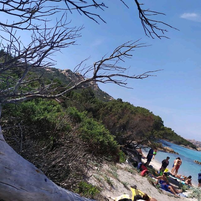 Isola della Maddalena (Sardinia)